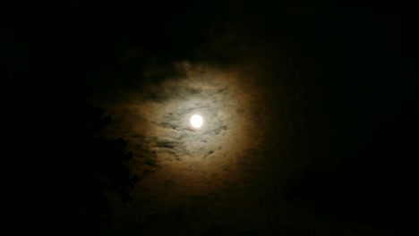 slow creepy and ominous orange clouds slowly drifting in front of the bright light of the lit up full moon from an october 28th 2023 halloween autumn winter wedding - in 4k - shot on lumix fz-300