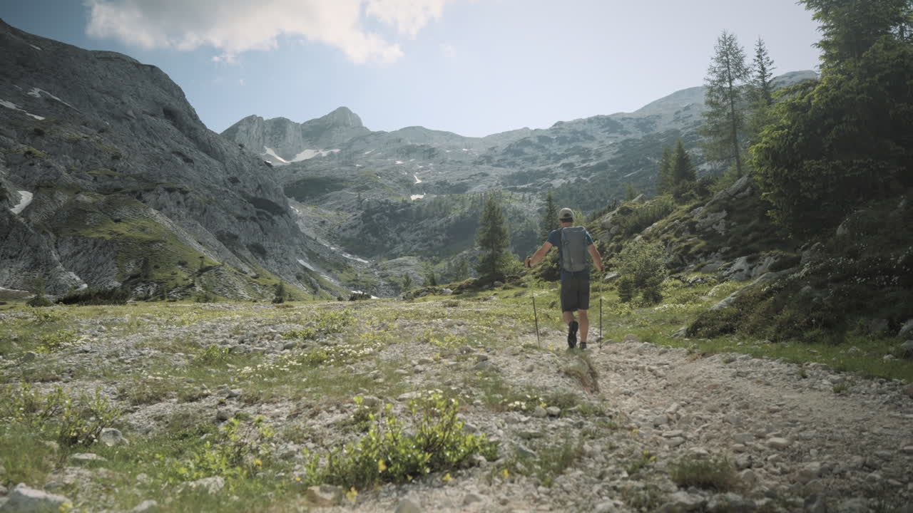 excursionista caminando en el valle con bastones de senderismo rodeados de montañas en un día soleado de verano