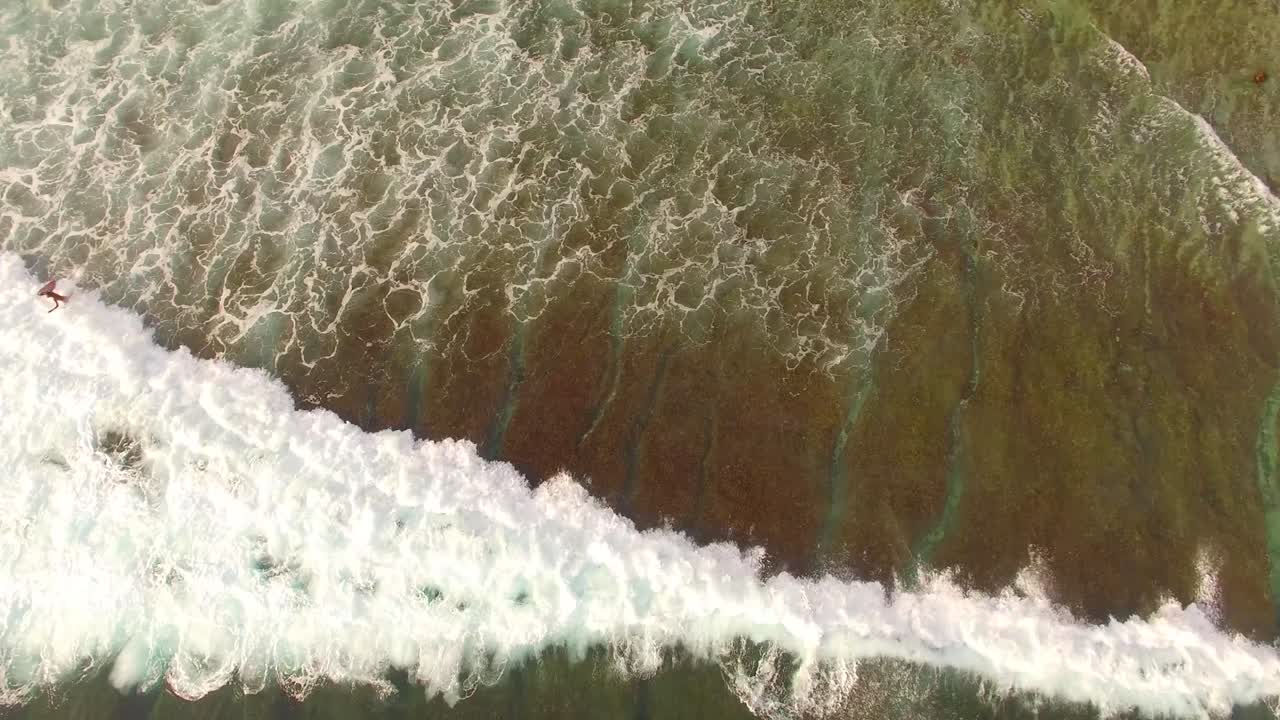 volando sobre las olas rompiendo sobre los arrecifes de coral