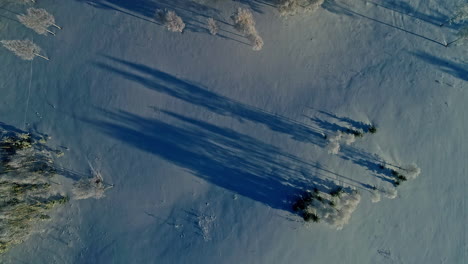 vista aérea de arriba hacia abajo de campos cubiertos de nieve y helada en árboles con largas sombras