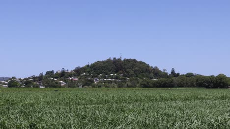 hill and field under clear blue sky