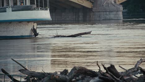 driftwood and debris float alongside a docked boat during the 2024 flood in budapest