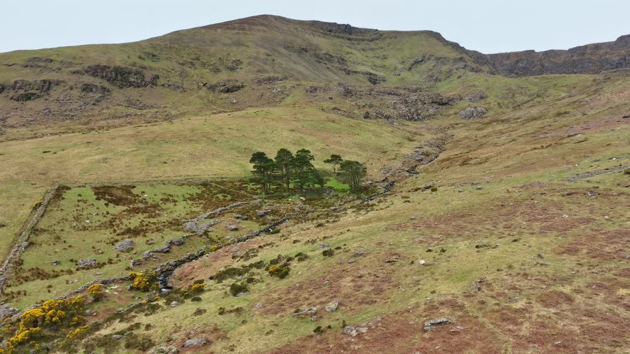Comeragh-bjergene, et længe forladt lille husmandssted på bakkens side en forårsmorgen.