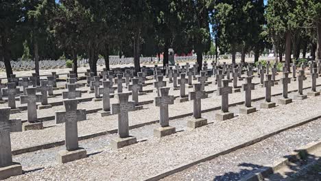 rows of stone crosses mark the graves of serbian soldiers at zeitenlik military cemetery in thessaloniki, greece, surrounded by tall cypress trees in a solemn and peaceful atmosphere