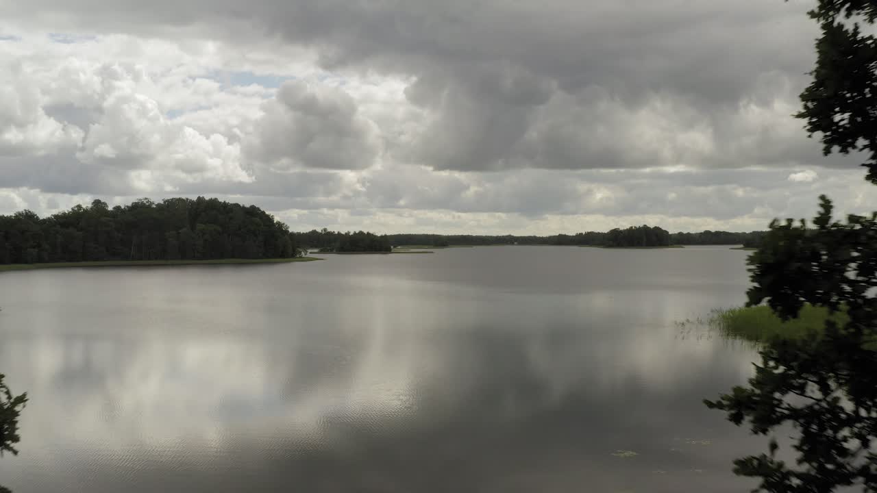 volando a través de ramas de árboles oscuros y revelando lago gris y nubes