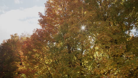 sunny autumn day at the mountain with colored leaves