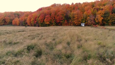 small lonely cottage in the edge of an orange forest