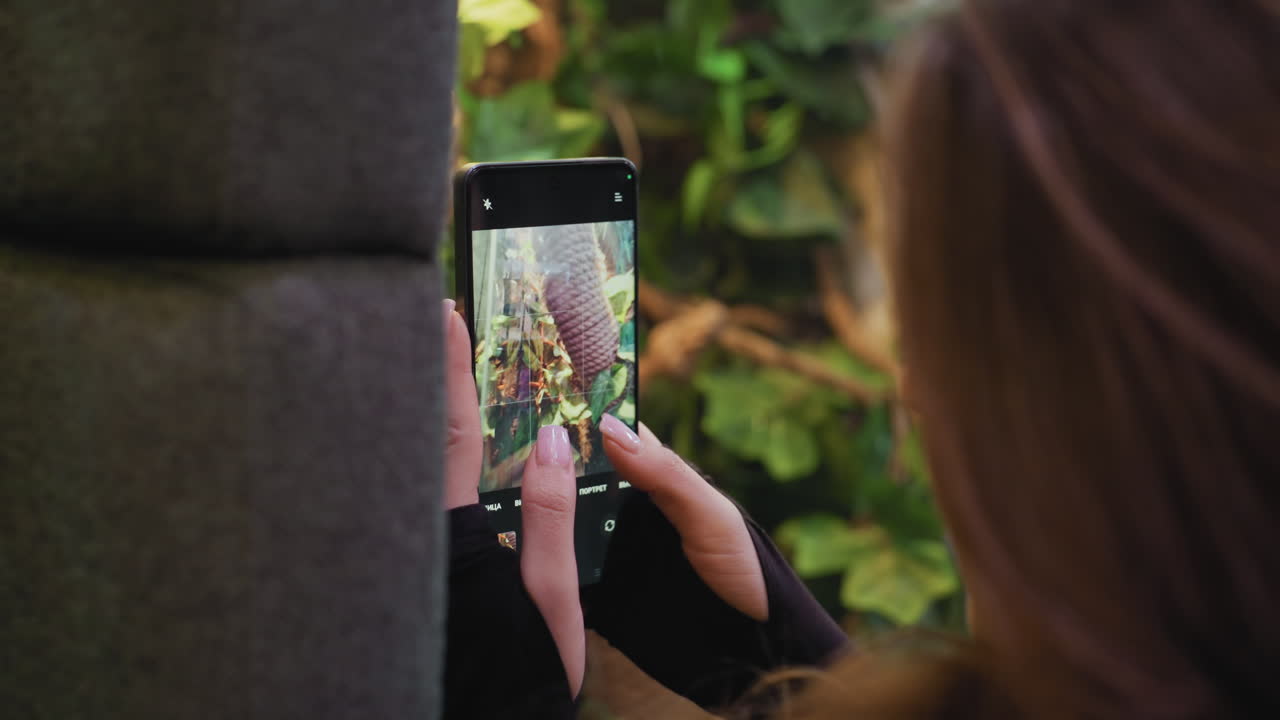 Close up of woman s hand holding smartphone while capturing detailed photo of vibrant green plant beside cushioned furniture with focus on screen grid, natural decoration, and calm indoor ambiance