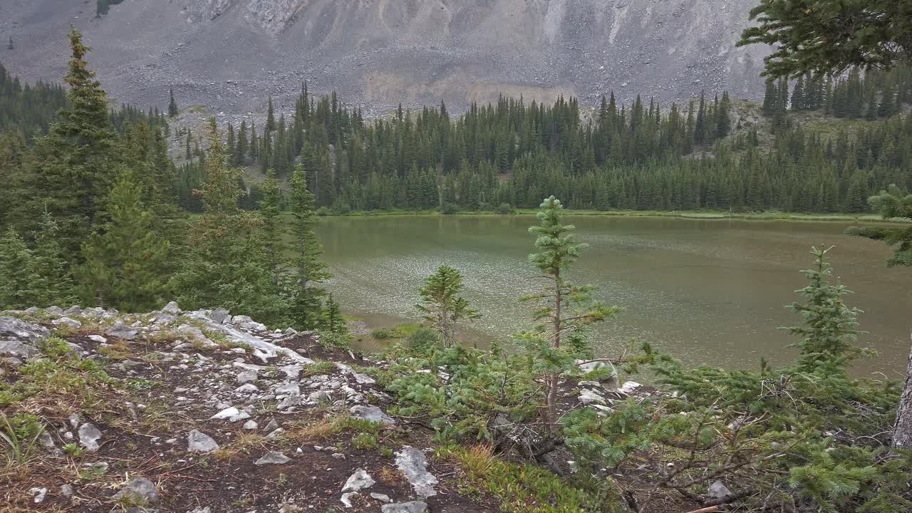estanque de montaña valle del bosque dando vueltas en las montañas rocosas de kananaskis, alberta, canadá