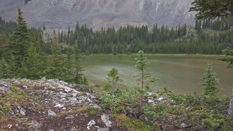 mountain pond forest valley circling rockies kananaskis alberta canada