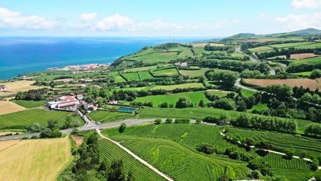 Campos-De-Té-Cha-Gorreana-En-Azores-Con-Una-Vista-Impresionante-De-La-Costa-Y-Un-Paisaje-Verde-Y-Exuberante