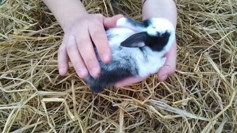 a woman is holding a mixed colored black and white fluffy bunny in her hands