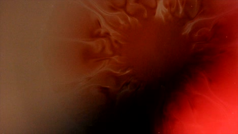 a rent in the fabric of the cosmos reveals its inner rosy delicacy  -  for more, search  "abstractvideoclip" using the quotation marks