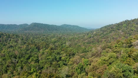 Top-view-of-Jungle-with-parakeets-crossing-across-the-frame