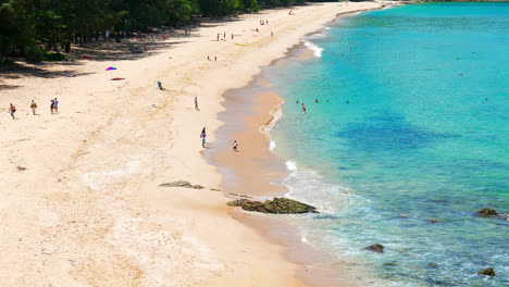 beautiful nature and landscape with tropical beach and sea around green tree in phuket thailand