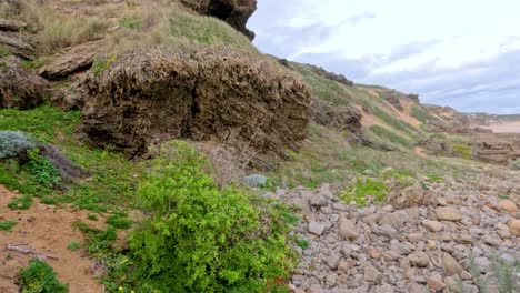 rocky cliffs and lush greenery along a coastal landscape with ocean views, captured in natural daylight
