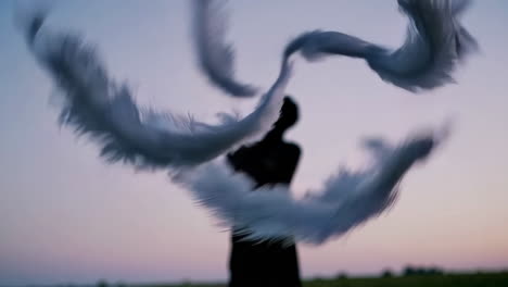 ethereal silhouette with swirling feathers at twilight
