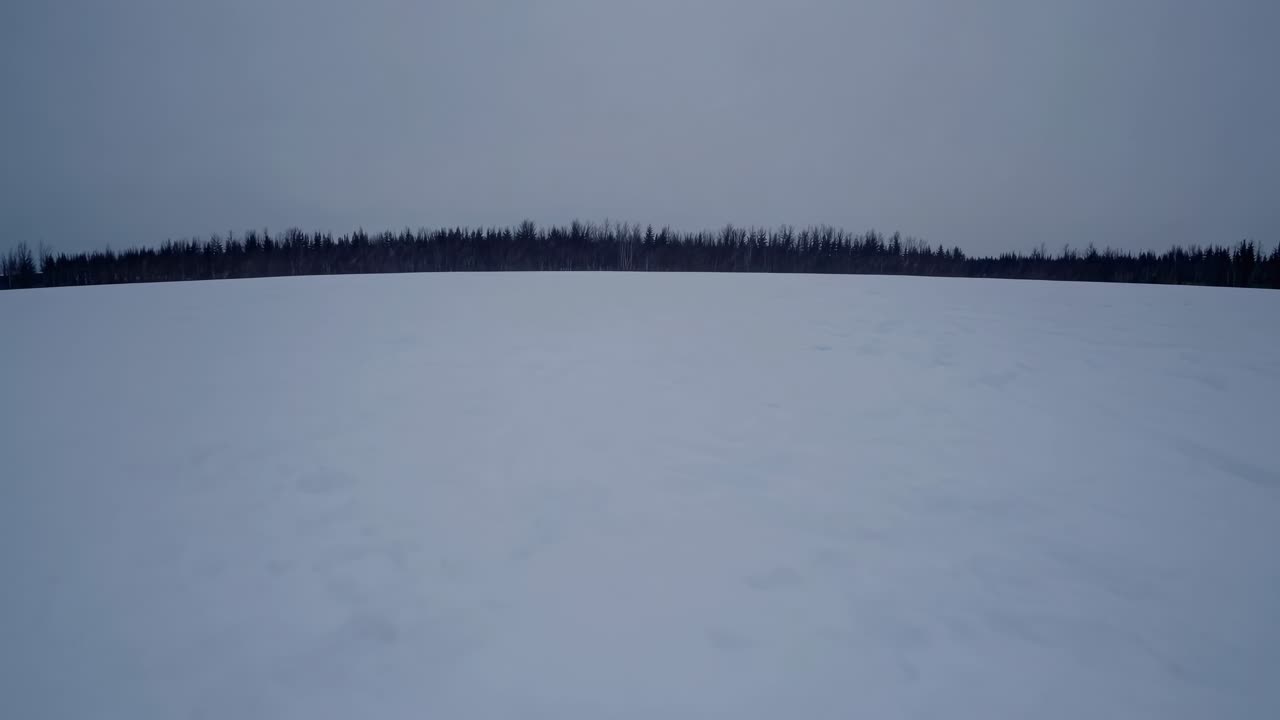 Wide-angle video frame of a snow-covered landscape with a distant tree line under a gray sky