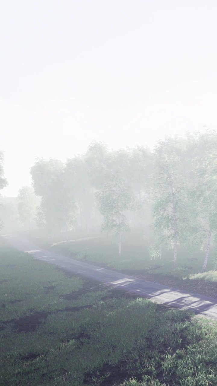 La nebbia copre un sentiero tortuoso tra gli alberi in una foresta nelle ore mattutine.