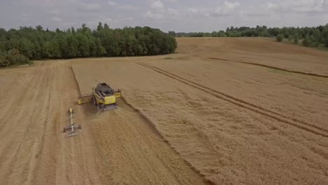 Luftaufnahme-Eines-Mähdreschers,-Der-Weizen-Auf-Einem-Goldenen-Feld-Sammelt