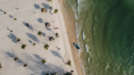 beautiful long shadows from the tall green palm trees over the white sand beach while waves gently roll onto the beach where a blue boat is moored