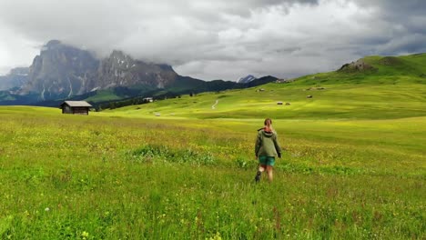 woman walks through a flower meadow in the mountains