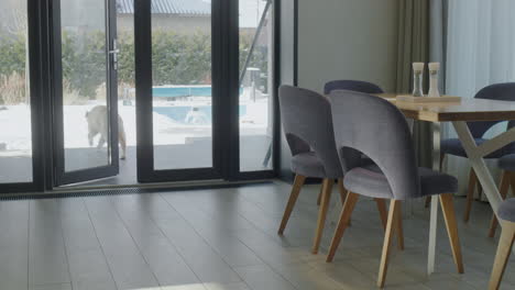 modern dining room with dog and winter patio view