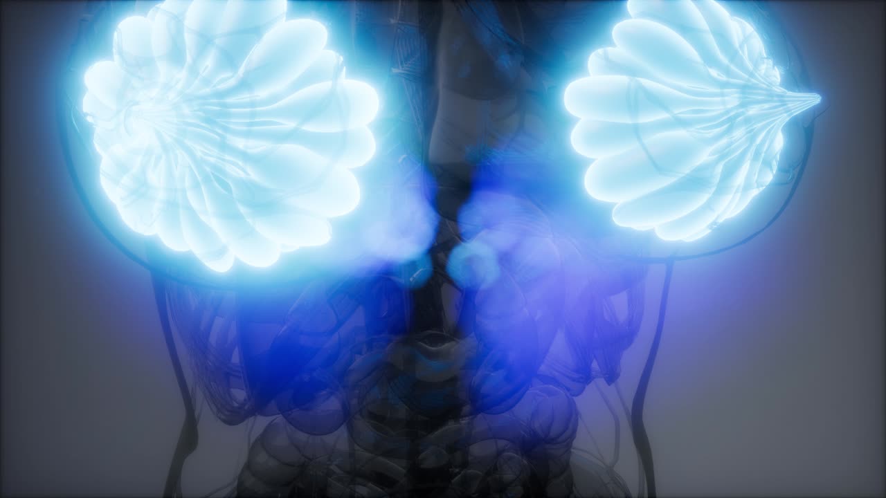 비만 여성의 유방선에 대한 의학적으로 정확한 그림