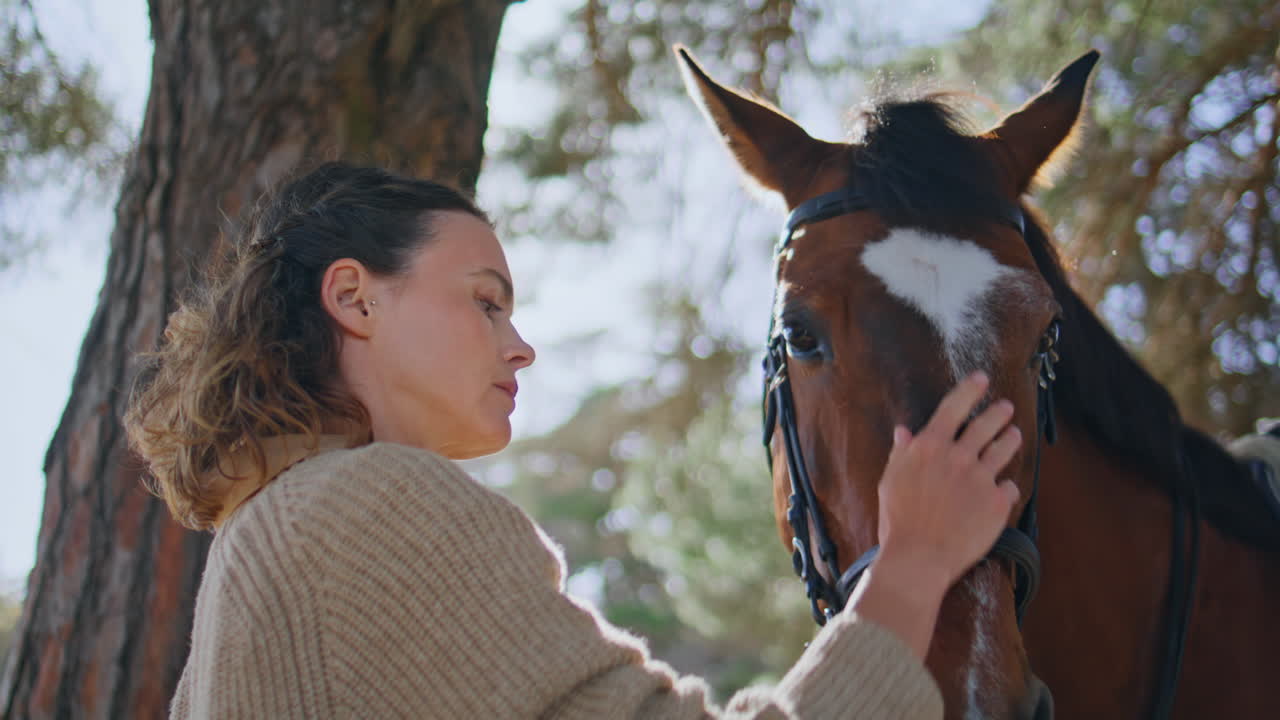 Horse owner petting animal at peaceful park with warm sunlight trees closeup