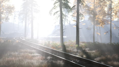 Leere-Eisenbahn-Fährt-Morgens-Durch-Nebligen-Wald