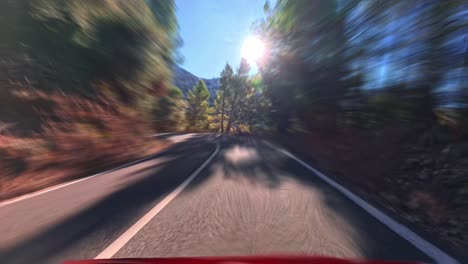 pov hyperlapse driving along empty tree lined winding road in palma, mallorca