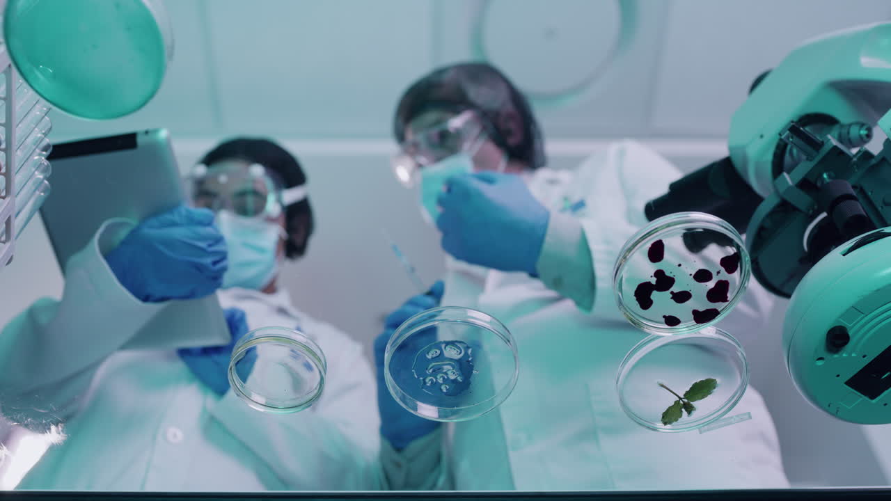 dos científicos modificando y mezclando productos químicos