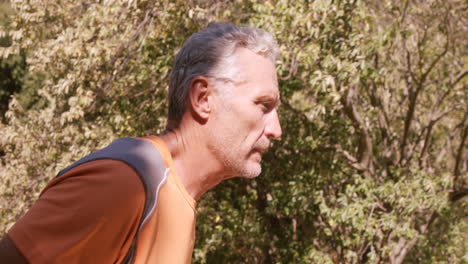 man jogging in the forest