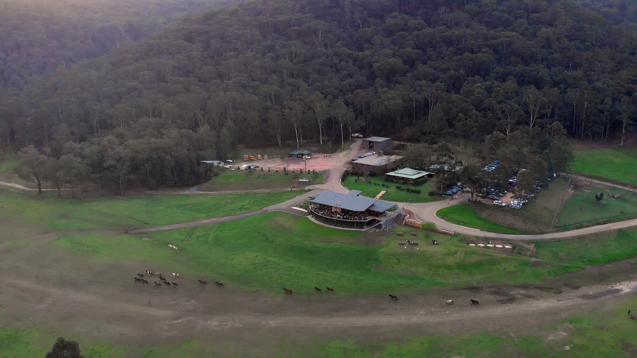 A herd of horses galloping thorough horse ranch, aerial