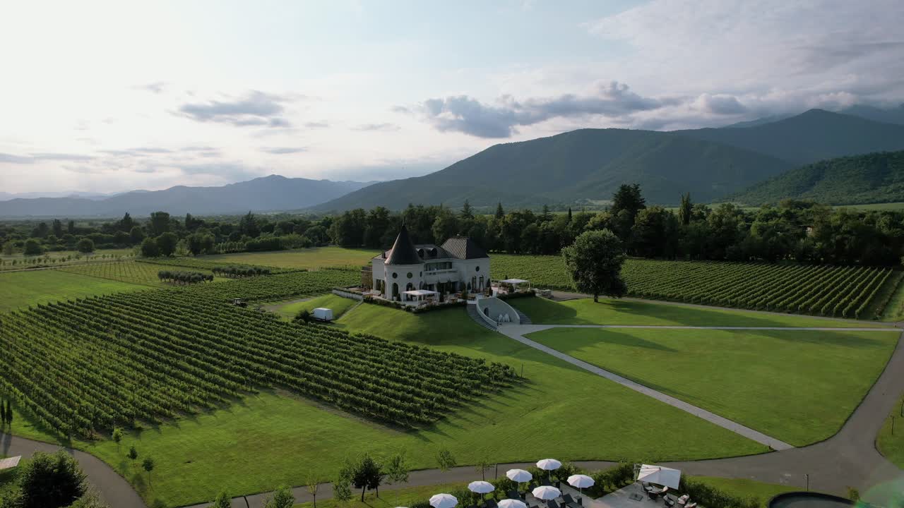 Vista aerea della Cantina e vigneti Chateau Buera nelle lussureggianti montagne verdi vicino al Lago Lopota, Kakheti, Georgia