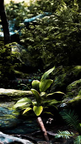 primer plano de una planta verde exuberante en un bosque tropical