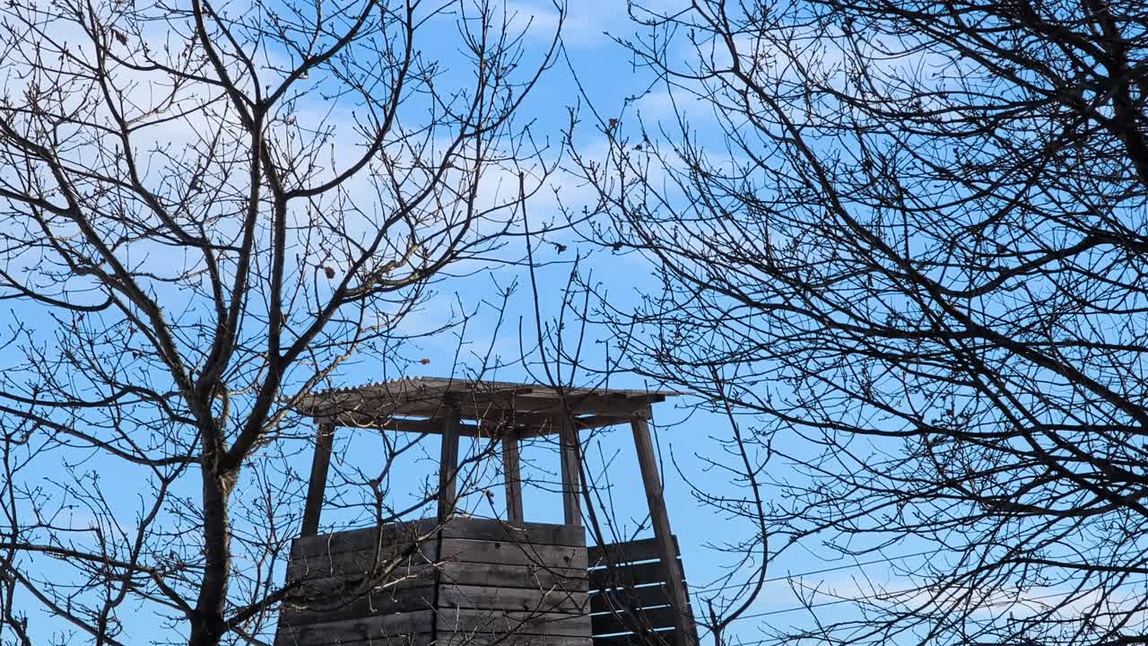 Una torre di caccia in legno su un prato sotto il sole invernale con cielo azzurro limpido. Video girato a 60fps. Questa clip è rallentata di 23,8 volte, così puoi decidere come utilizzarla.