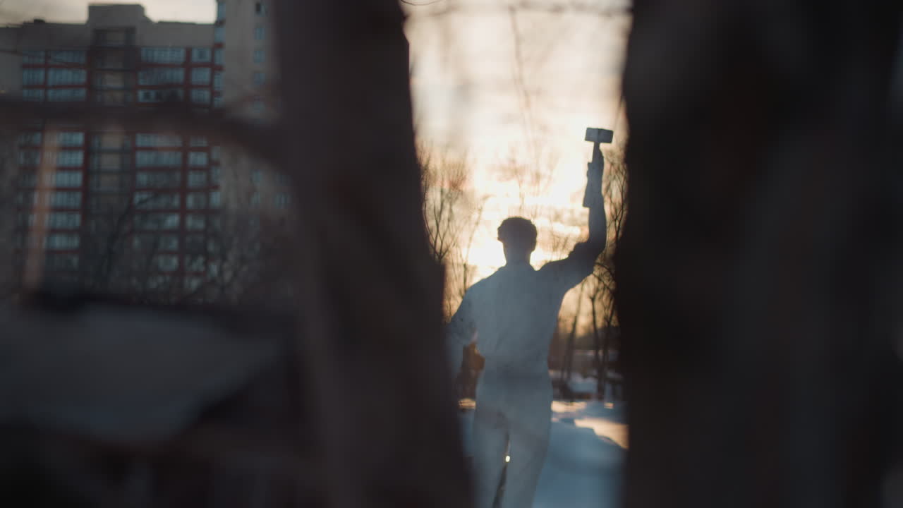 Close up of tree trunk with blurred sculpture visible through branches, tall building in background, winter outdoor scene, soft focus, silhouette of statue with raised arm under soft sunlight