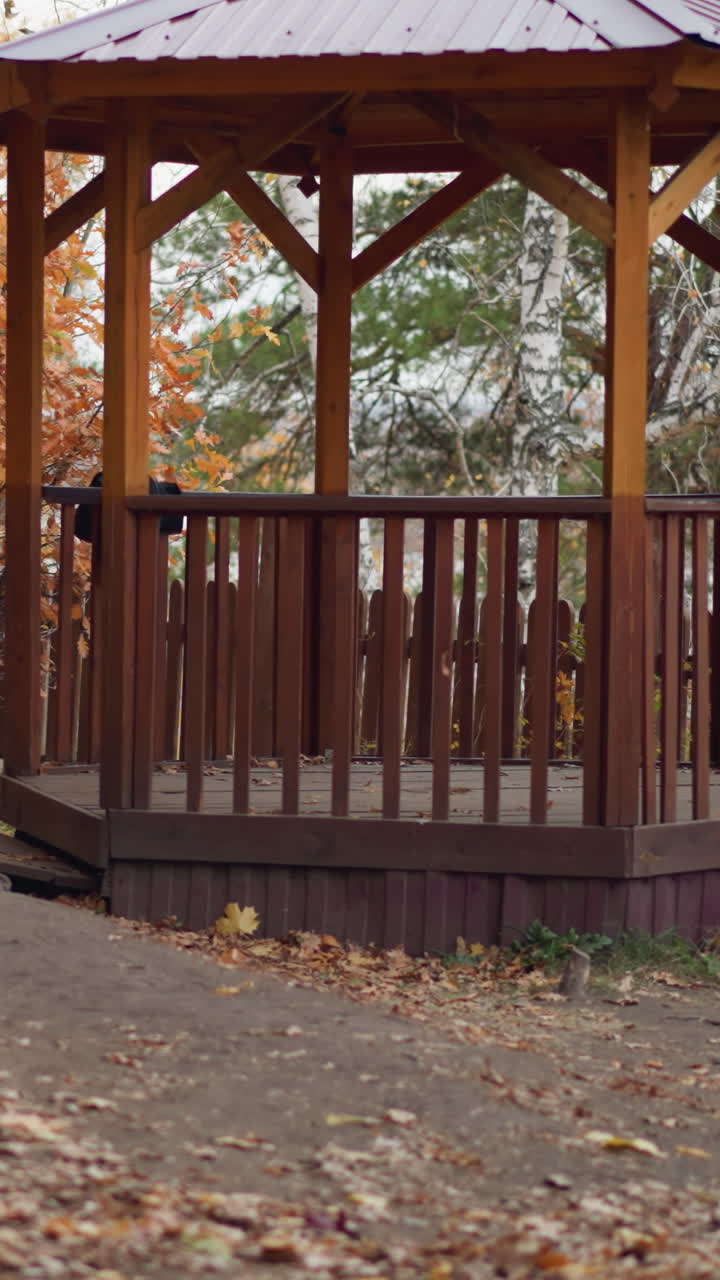 un mirador de madera rodeado de un paisaje de otoño con hojas secas caídas esparcidas por todas partes, una hoja cayendo del mirador y árboles verdes en el fondo que crean una atmósfera pacífica de otoño