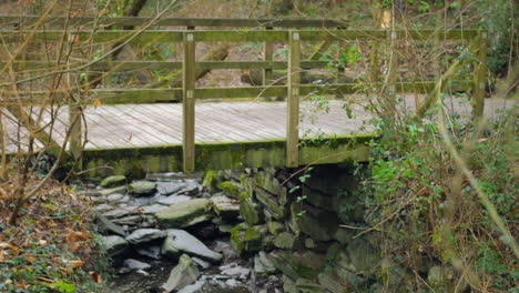 a bridge over rocky river stream on forest nature park