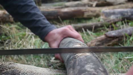 two young man are sawing the wood log together as a preparation for campfire