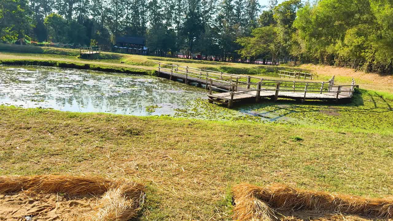 과 자연의 평화로운 풍경
