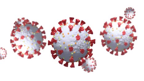 Animation-Von-Coronavirus-Zellen,-Die-Sich-Auf-Weißem-Hintergrund-Drehen