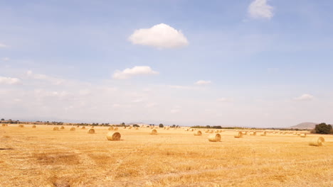 Feld-Mit-Vielen-Rundballen-Heustroh