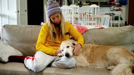 woman stroking her dog on sofa 4k