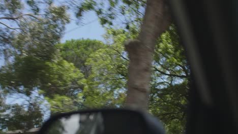 Shot-of-houses-and-trees-through-car-window