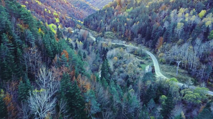 Vue incroyable par drone d'une route en montagne couverte d'un feuillage d'automne luxuriant