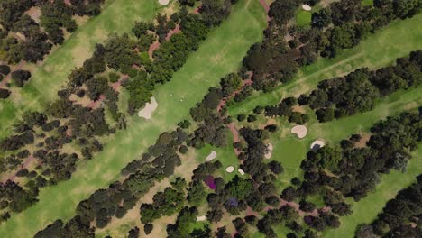 Vistas-Aéreas-Del-Club-De-Campo-De-La-Ciudad-De-México,-área-Verde