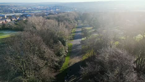 cinematic aerial drone footage of a public park taken from above