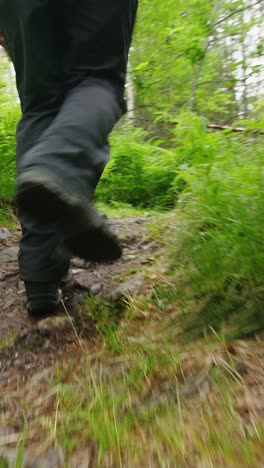 caminar por el bosque.